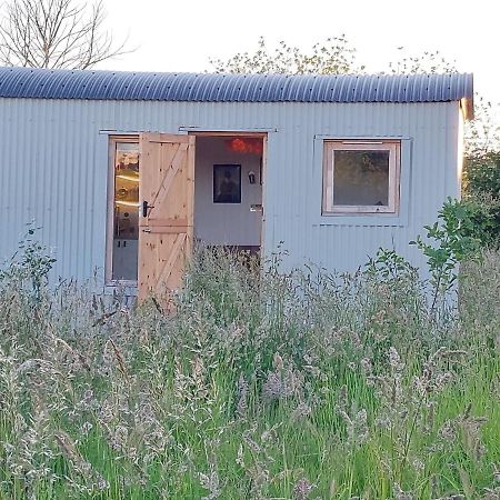 Doris Villa Wedmore Kültér fotó