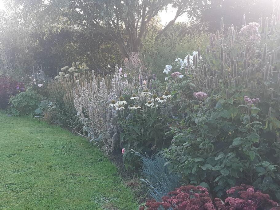 Doris Villa Wedmore Kültér fotó